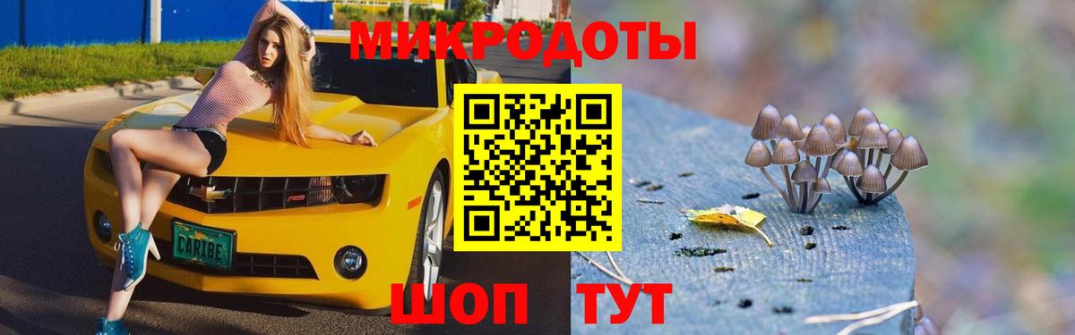 Галлюциногенные грибы Psilocybine cubensis  Вход с VPN  Домодедово  Галлюциногенные грибы мицелий 